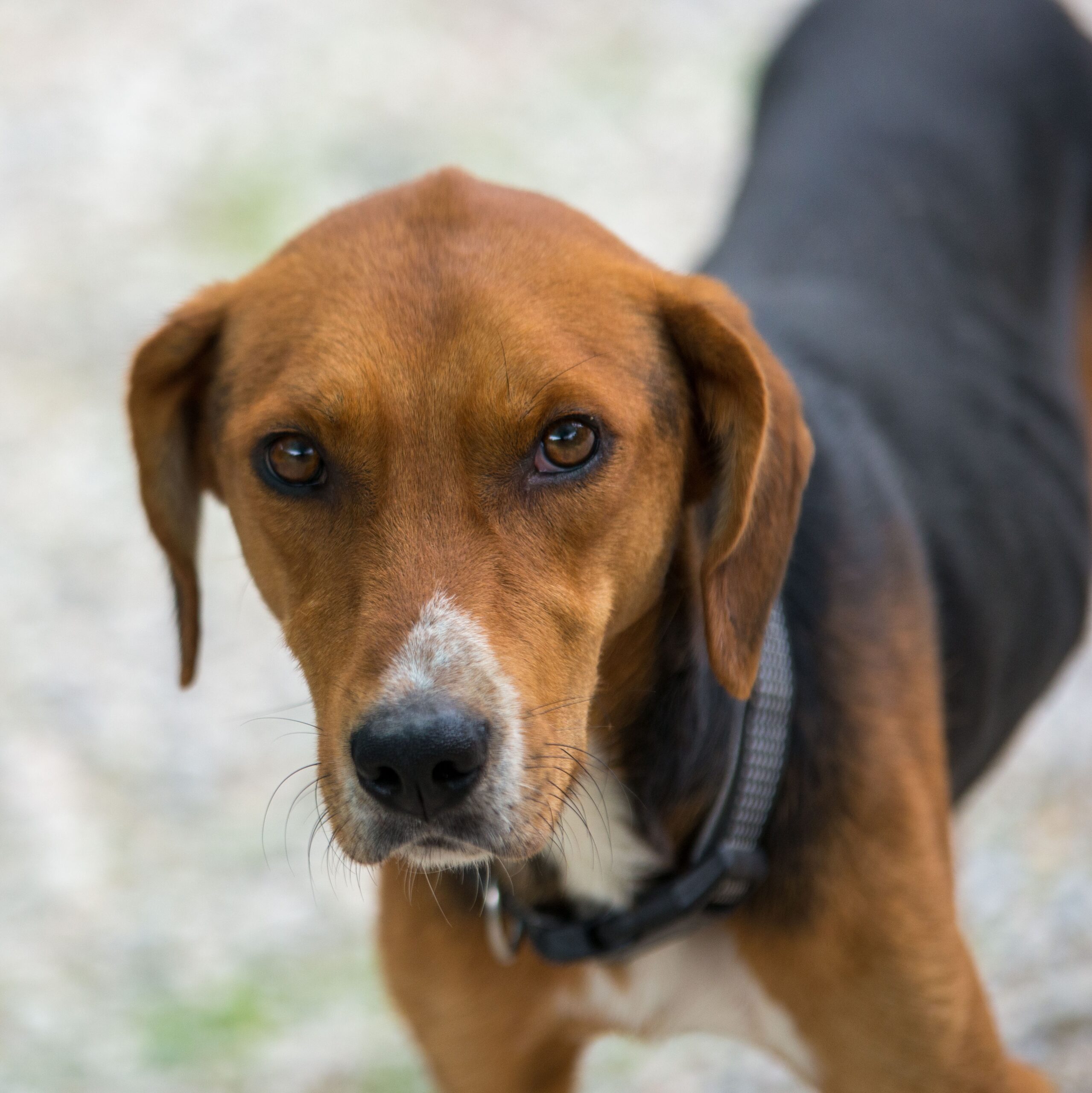 2026-03-02_08-37-36 Puffi