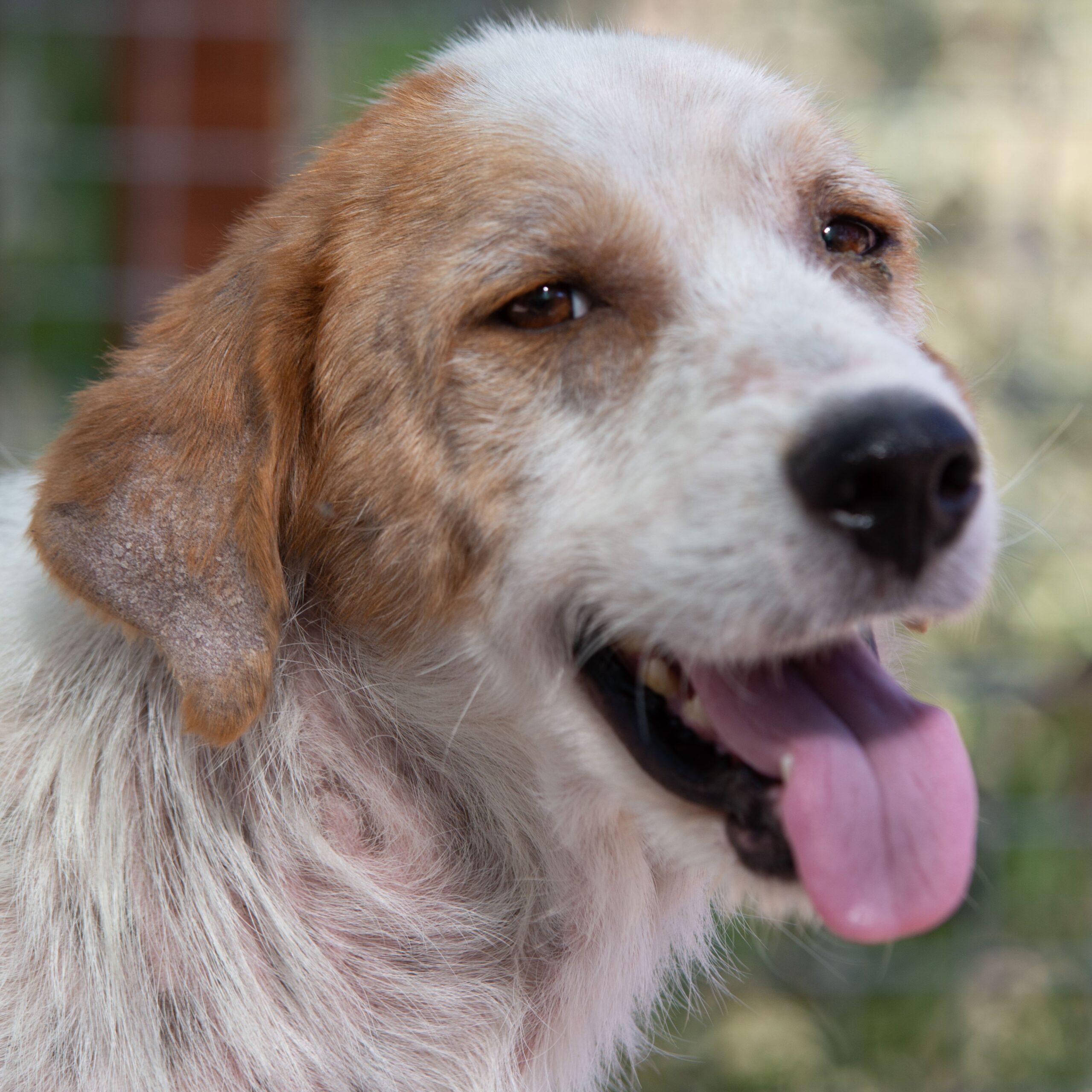 2026-03-02_08-38-06 Puffi